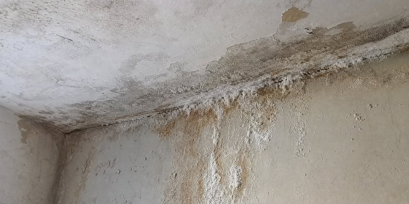 Diagnóstico de grietas y humedades en vivienda en Sevilla